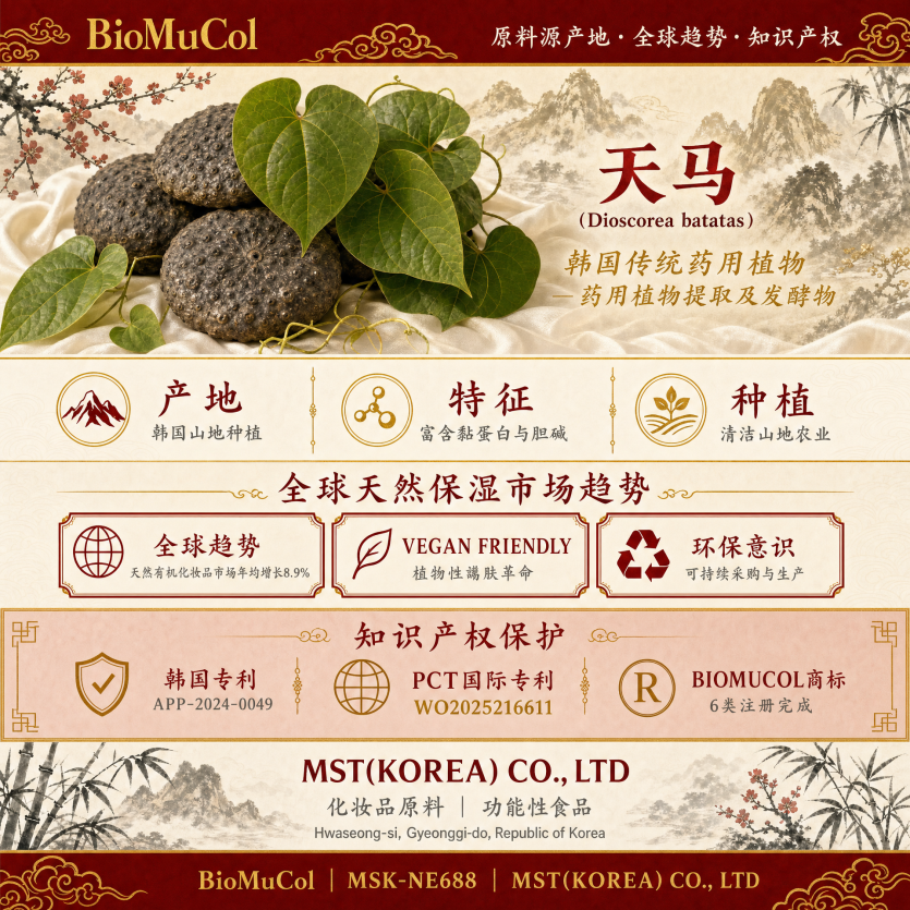 2e80e99fde35ced43a7b40d1307a80d6_1786254016_8627.png